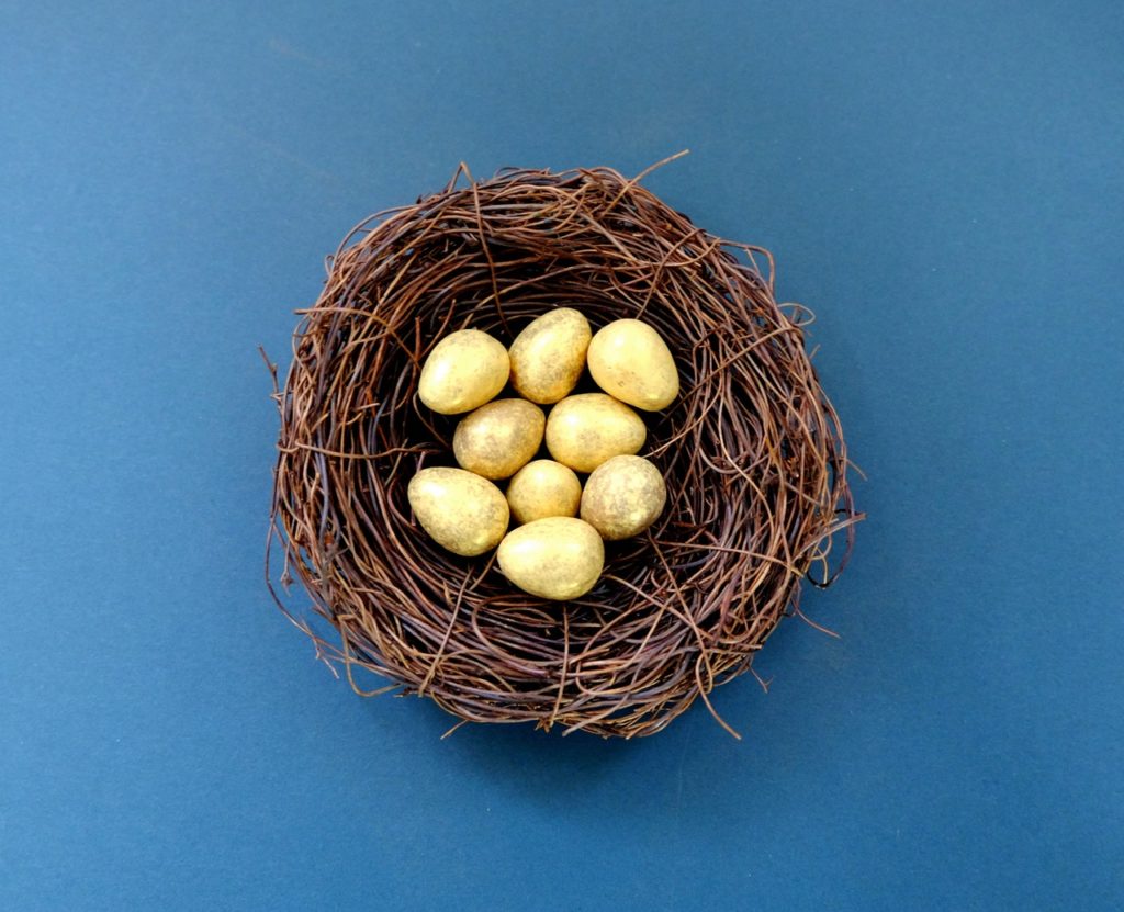 Building Up Your Nest Egg